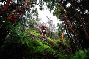 BIB: 
                            <button type="button" onclick="openModal(26203631)" class="btn btn-primary btn-sm float-right btn-popup" data-toggle="modal" data-target=".modal-high-quality">
                        <i class="fas fa-shopping-cart"></i> Add to Cart
                    </button>
                                            <button type="button" onclick="isThisMe(26203631, true)" class="btn btn-success btn-sm float-right btn-popup btn-isme hidden" data-toggle="tooltip" data-placement="bottom" title="นี่คือรูปของคุณใช่ไหม คลิกที่นี่เพื่อเอาเข้าอัลบั้ม">
                        <i class="fas fa-plus"></i> Add to album
                    </button>
                    <button type="button" onclick="isThisMe(26203631, false)" class="btn btn-warning btn-sm float-right btn-popup btn-isnotme hidden">
                        <i class="fas fa-ban"></i> Remove from album
                    </button>